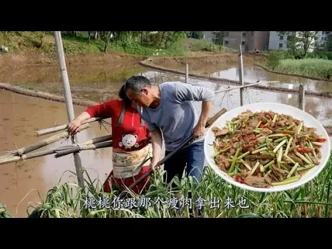 渝乡桃子 : 地里干活还有意外收获,这种菜炒肉绝配,老妈炒一大盘都吃光了